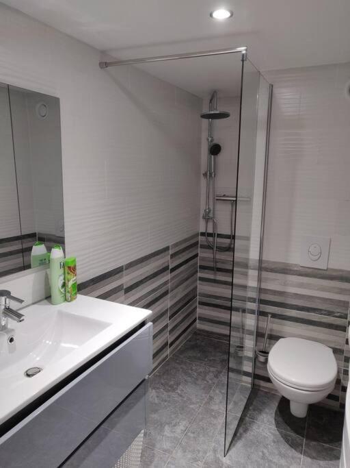Le Business, Duplex Moderne Special Pro De Passage Apartment Sarreguemines Exterior photo